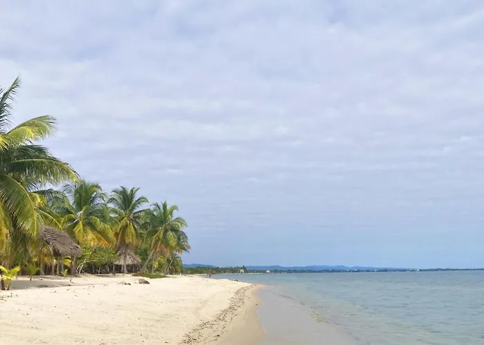 Tropical 1Br Suite With Pool Access - Flying Pig